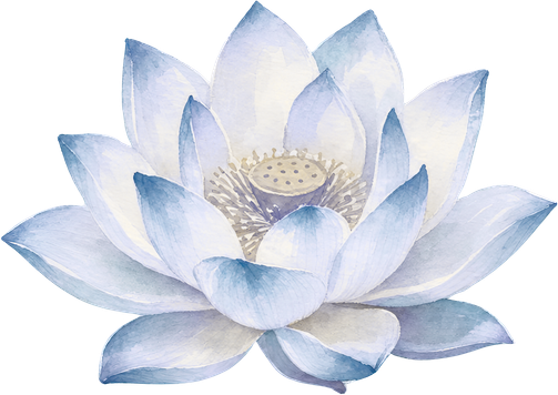 Workshops: blaue Lotusblüte