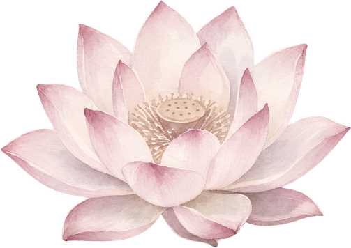 Resilienzprogramm: rosa Lotusblüte